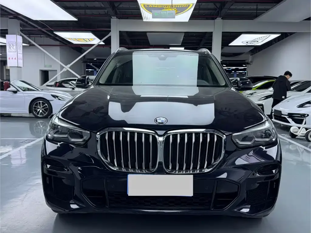 BMW X5 (Import) — фото 2