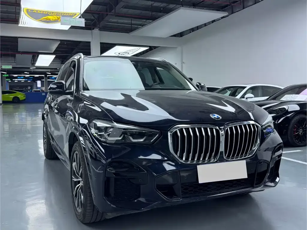 BMW X5 (Import) — фото 3