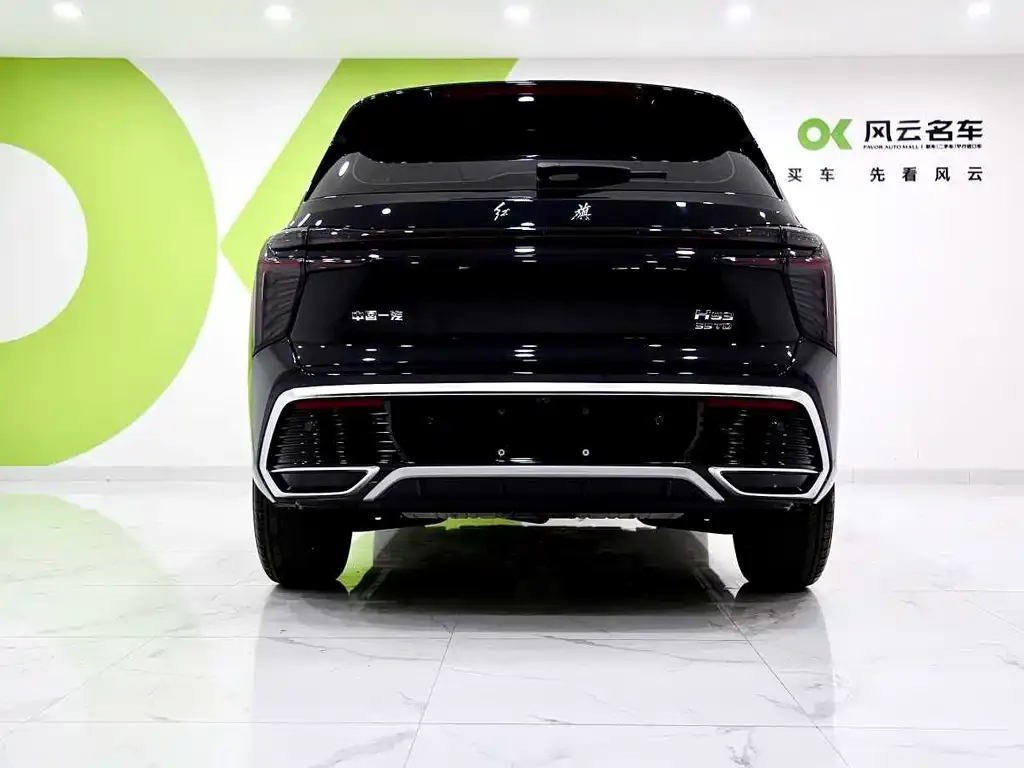 Hongqi HS3 2024 из CN, фото 6