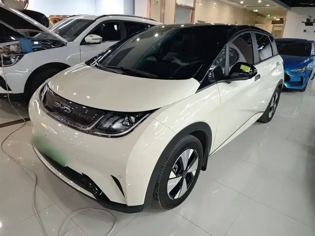 BYD Dolphin 2024 из CN, фото 2