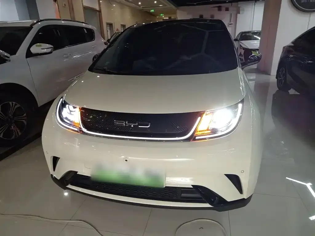 BYD Dolphin 2024 из CN, фото 3