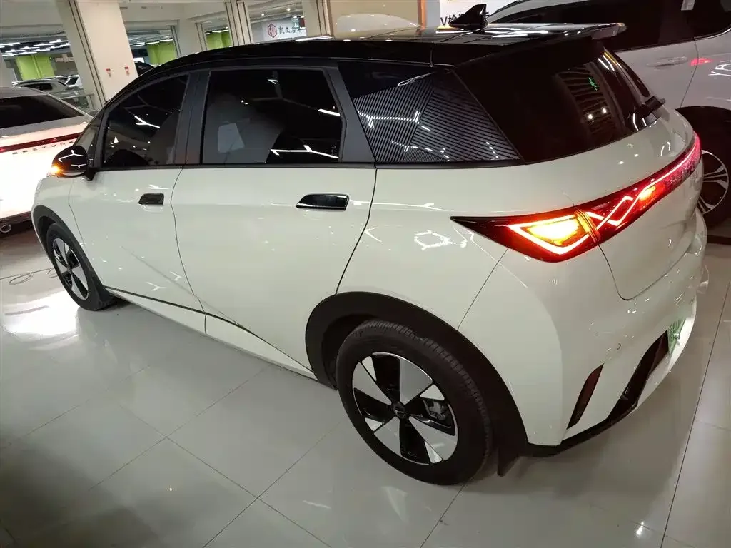 BYD Dolphin 2024 из CN, фото 5