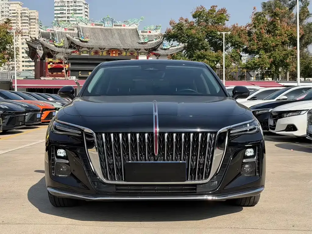 Hongqi H5 2023 из CN, фото 2