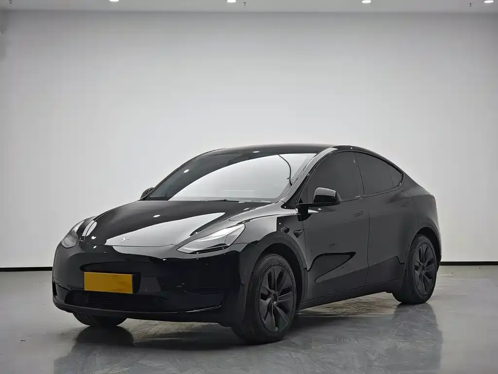 Tesla Model Y 2024 из CN, фото 1