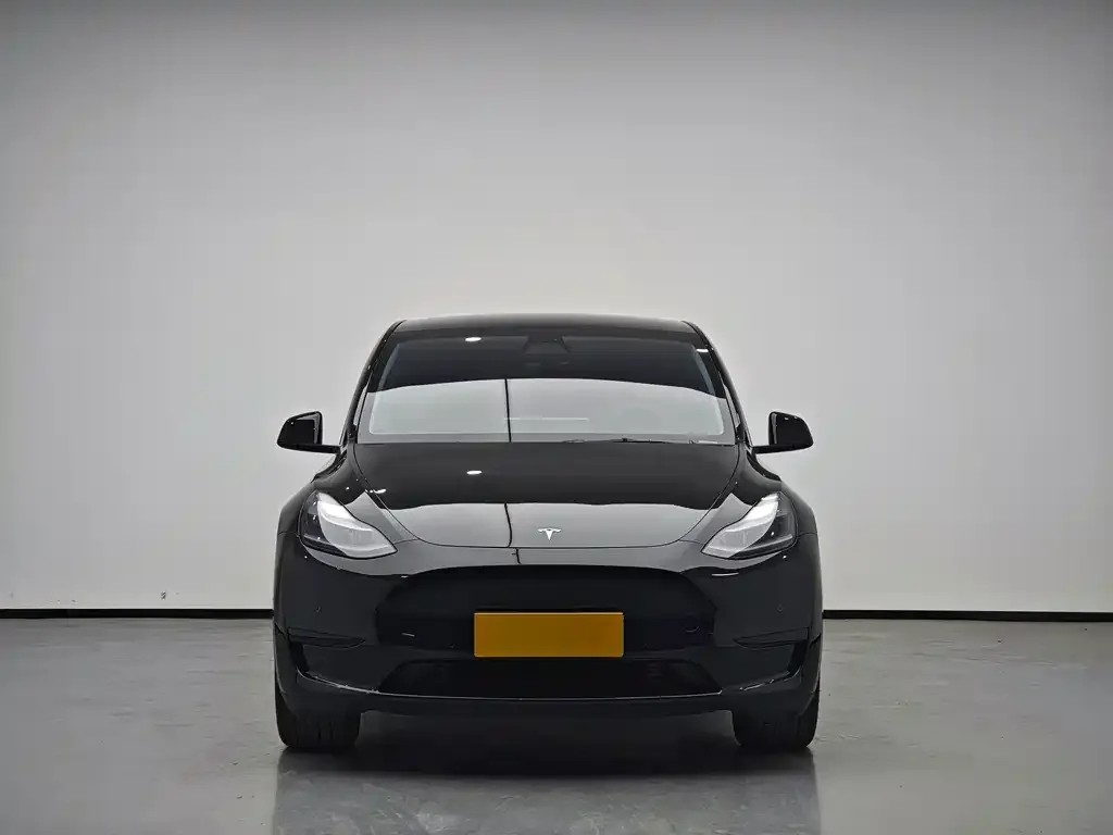 Tesla Model Y 2024 из CN, фото 2