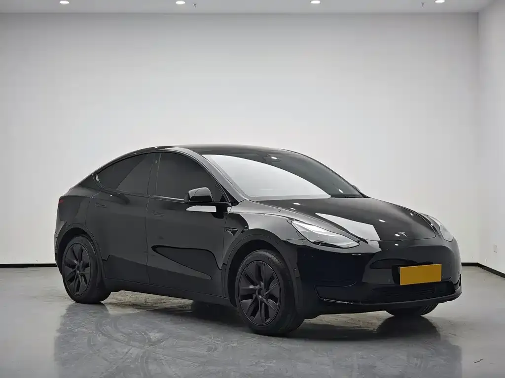 Tesla Model Y 2024 из CN, фото 3