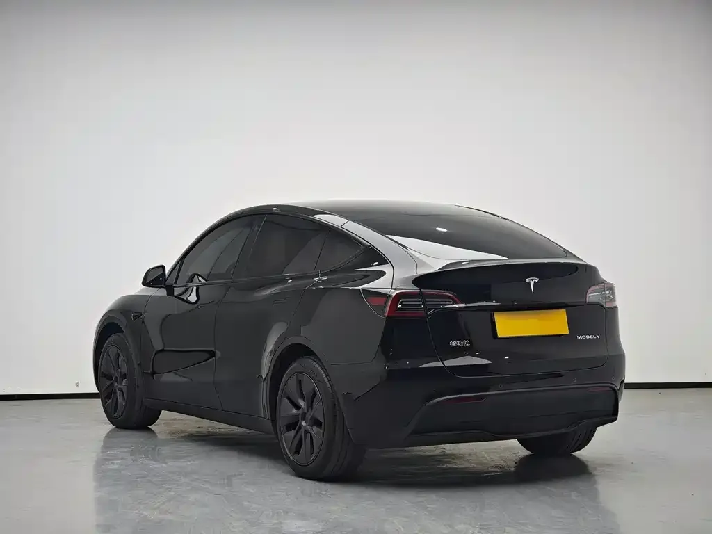 Tesla Model Y 2024 из CN, фото 4