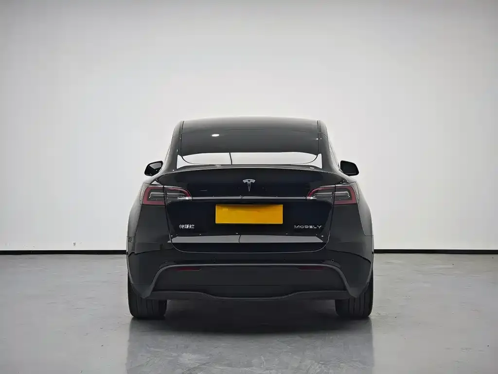 Tesla Model Y 2024 из CN, фото 5