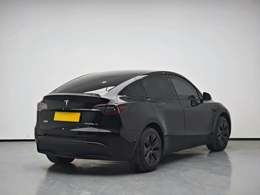 Tesla Model Y 2024 из CN, фото 6