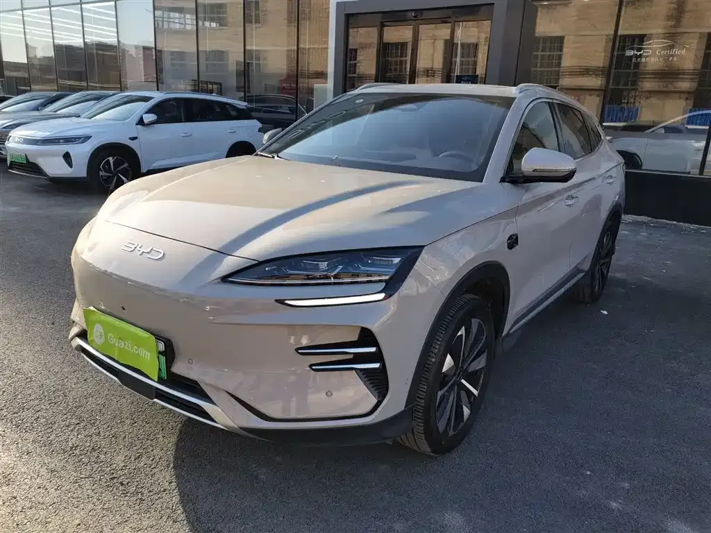 BYD PLUS New Energy 2025 из CN, фото 1
