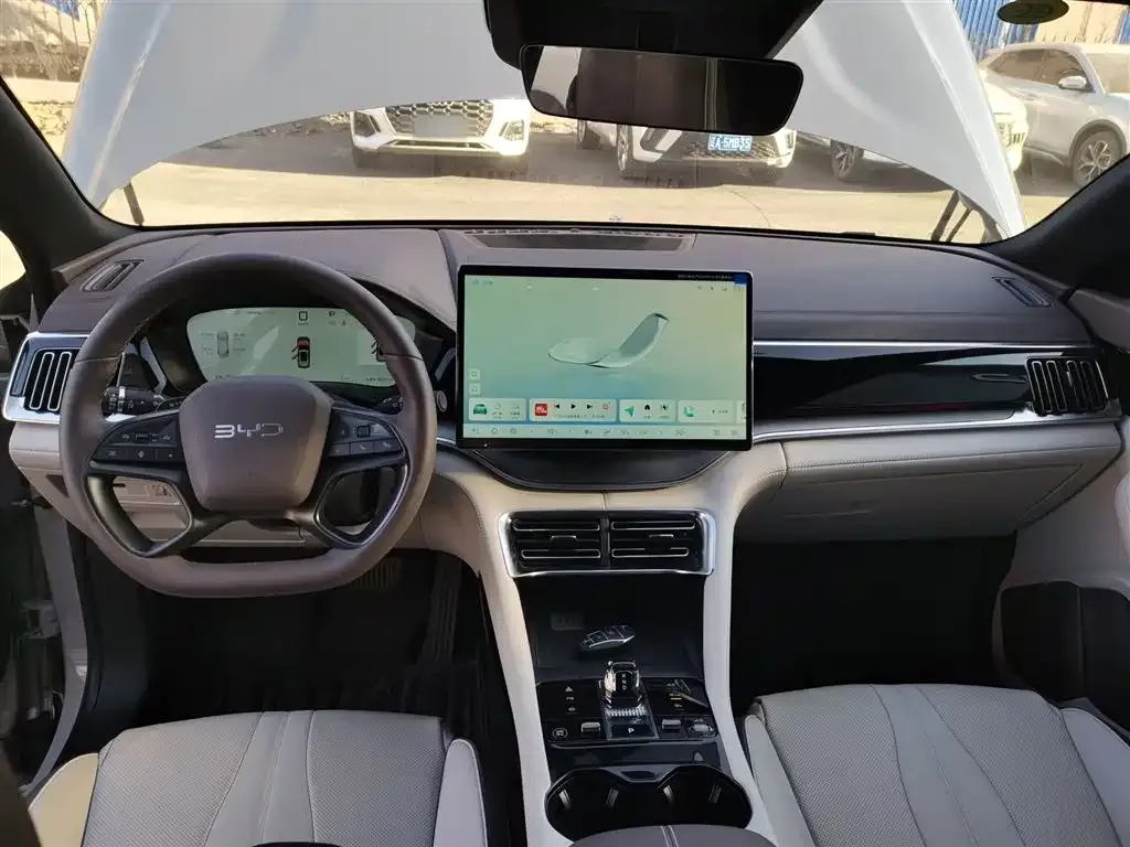 BYD PLUS New Energy 2025 из CN, фото 10