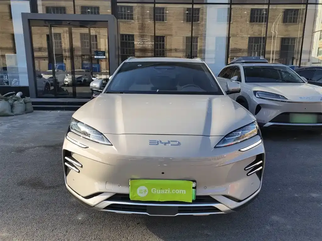BYD PLUS New Energy 2025 из CN, фото 3