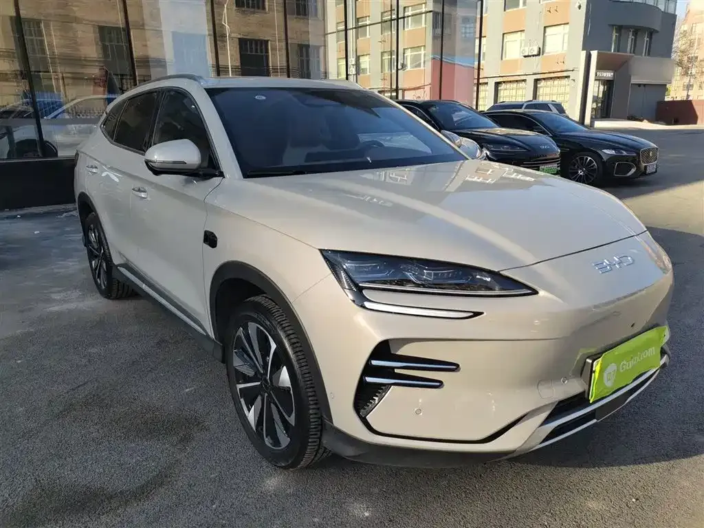 BYD PLUS New Energy 2025 из CN, фото 4