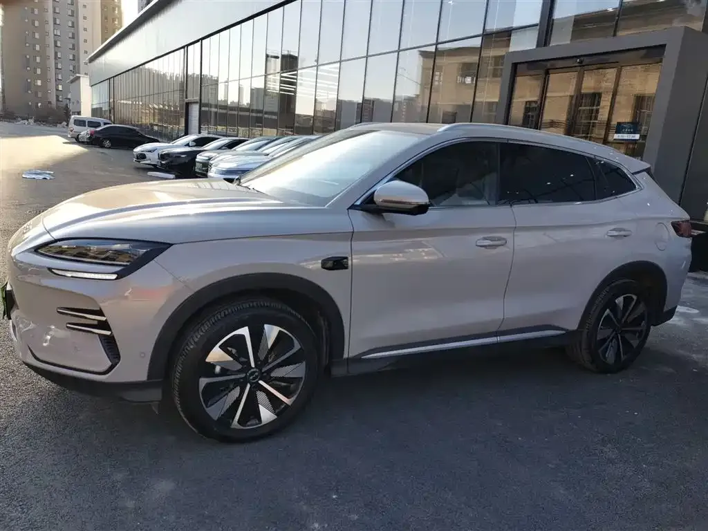 BYD PLUS New Energy 2025 из CN, фото 5