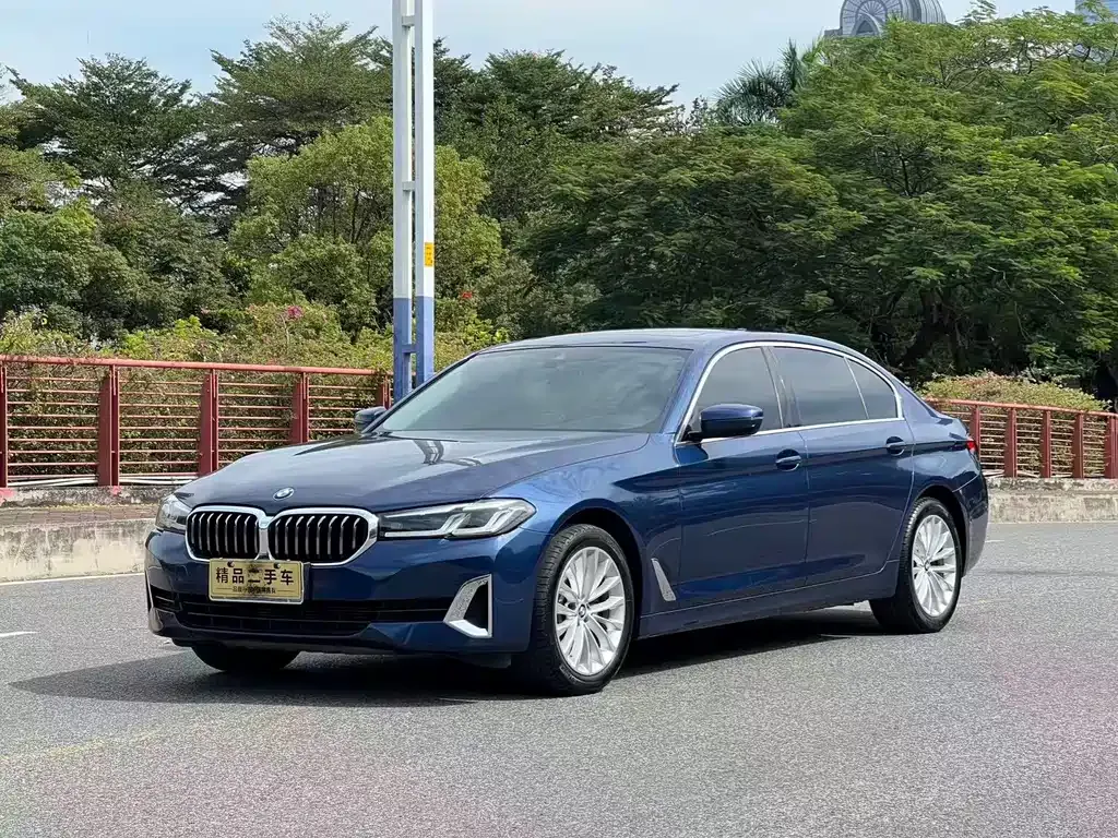 BMW 5 Series 2021 из CN, фото 1