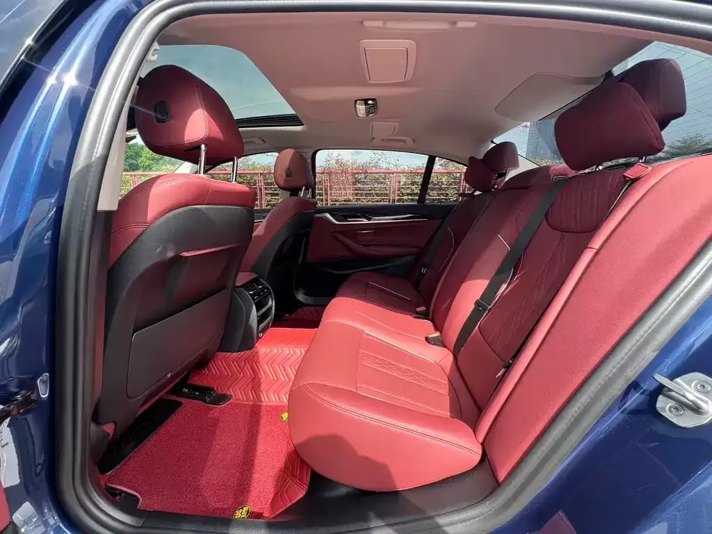 BMW 5 Series 2021 из CN, фото 10