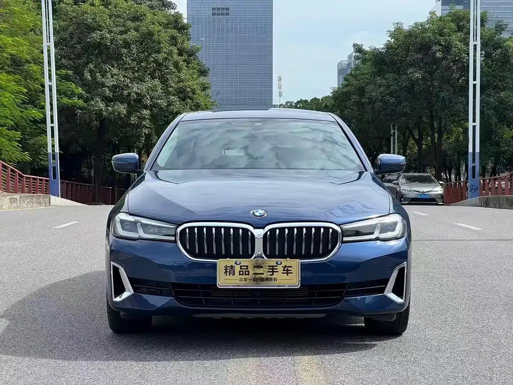 BMW 5 Series 2021 из CN, фото 2