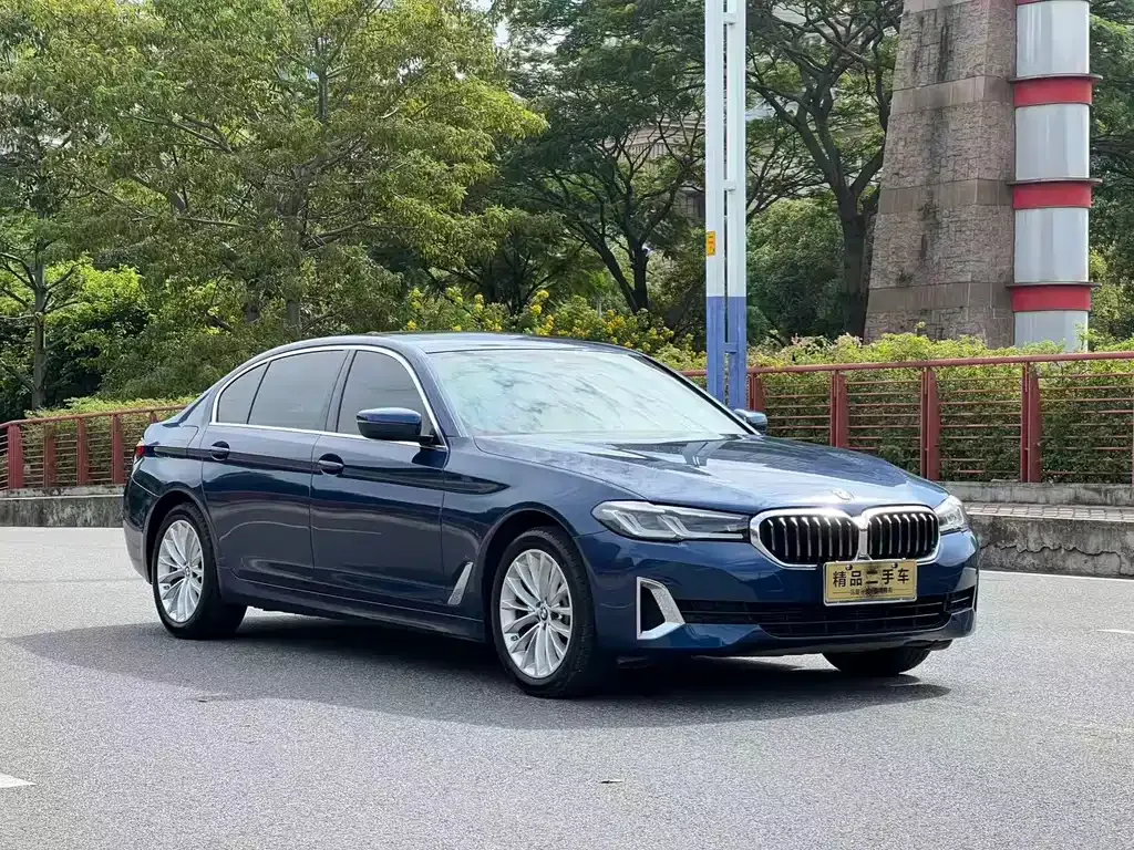 BMW 5 Series 2021 из CN, фото 3