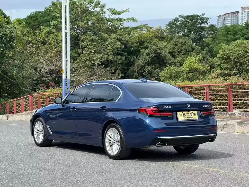 BMW 5 Series 2021 из CN, фото 4