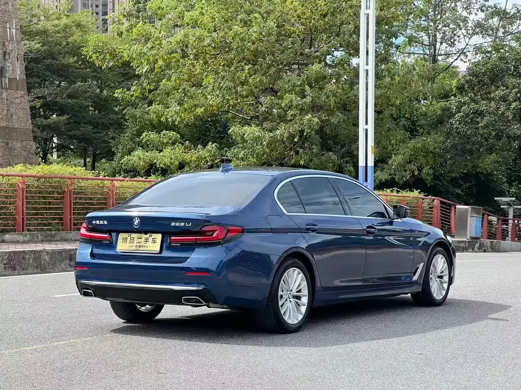 BMW 5 Series 2021 из CN, фото 5