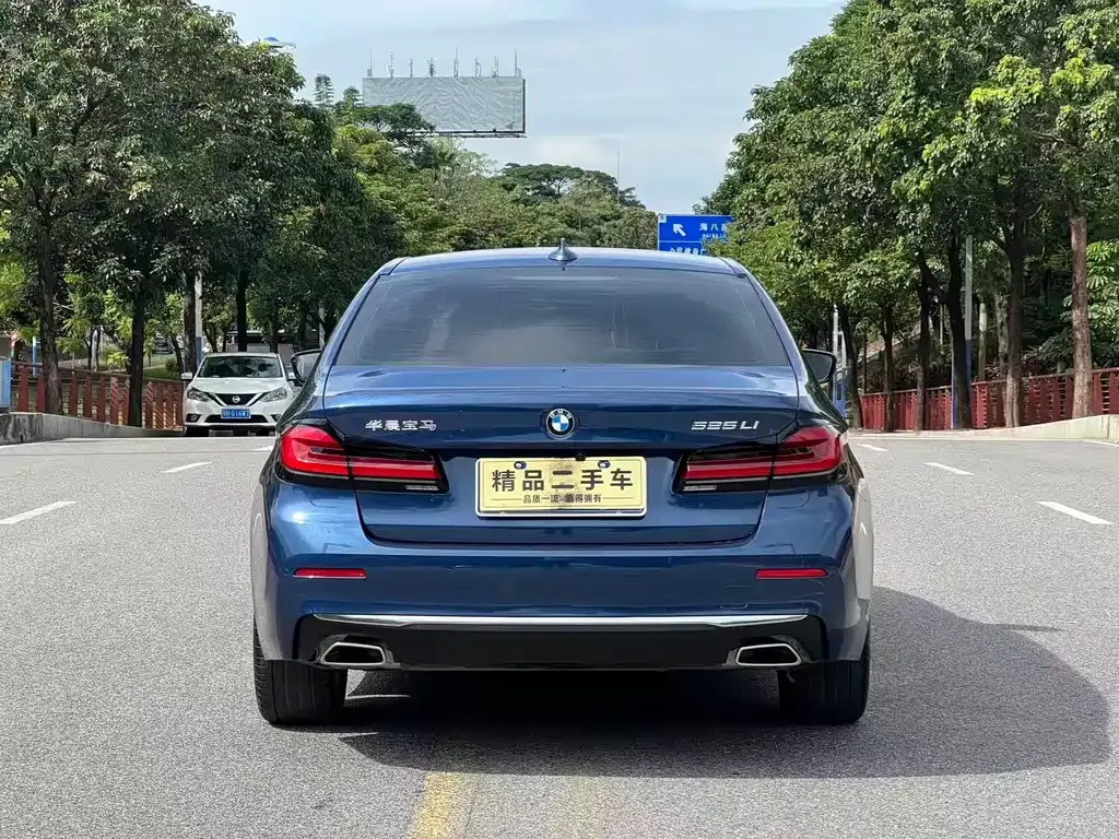 BMW 5 Series 2021 из CN, фото 6