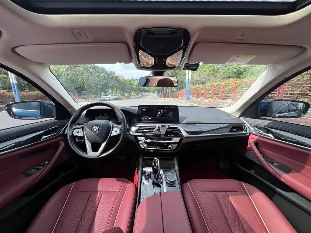 BMW 5 Series 2021 из CN, фото 8