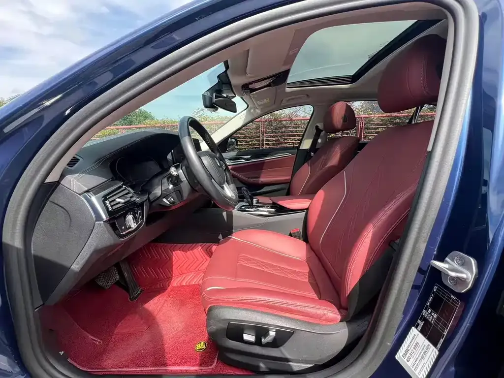 BMW 5 Series 2021 из CN, фото 9