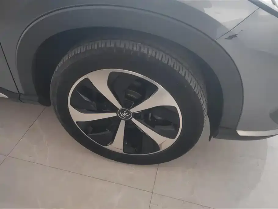 BYD PLUS New Energy 2021 из CN, фото 6