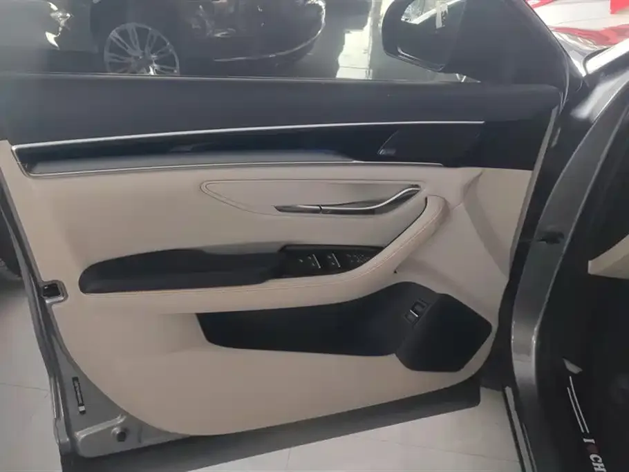 BYD PLUS New Energy 2021 из CN, фото 7