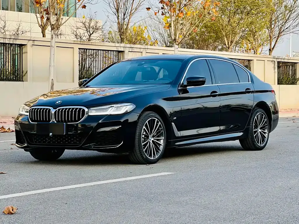 BMW 5 Series 2022 из CN, фото 1