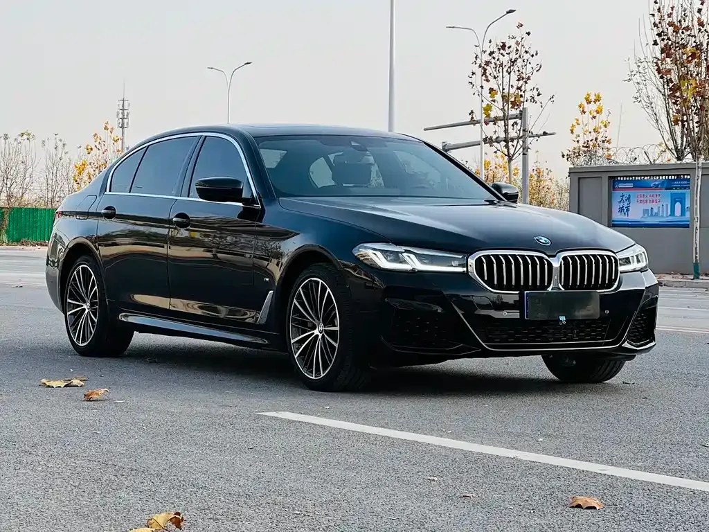 BMW 5 Series 2022 из CN, фото 3