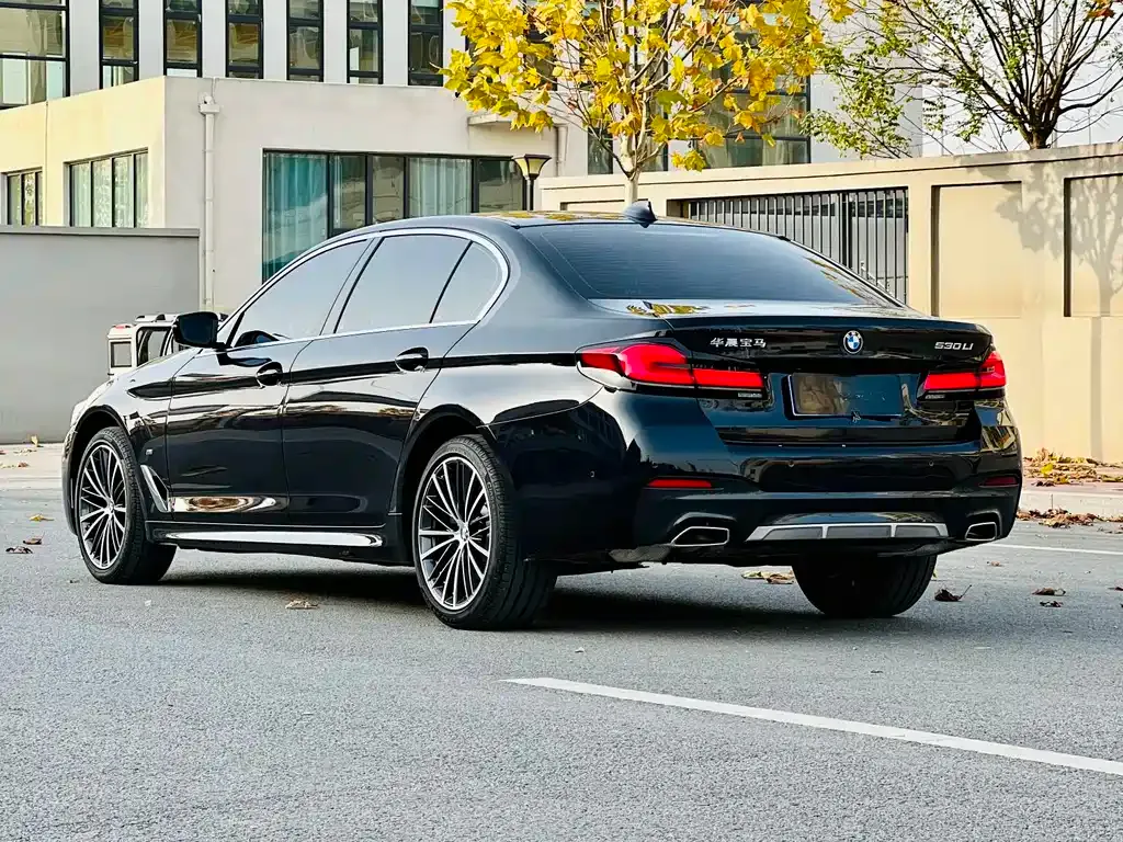BMW 5 Series 2022 из CN, фото 7