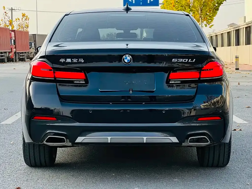 BMW 5 Series 2022 из CN, фото 8