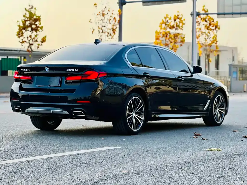 BMW 5 Series 2022 из CN, фото 9