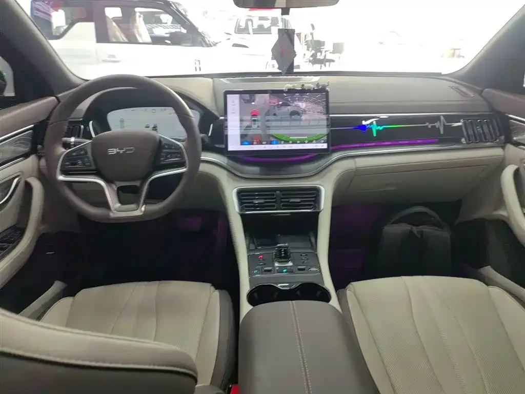 BYD PLUS New Energy 2024 из CN, фото 10