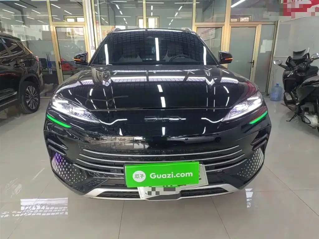 BYD PLUS New Energy 2024 из CN, фото 3