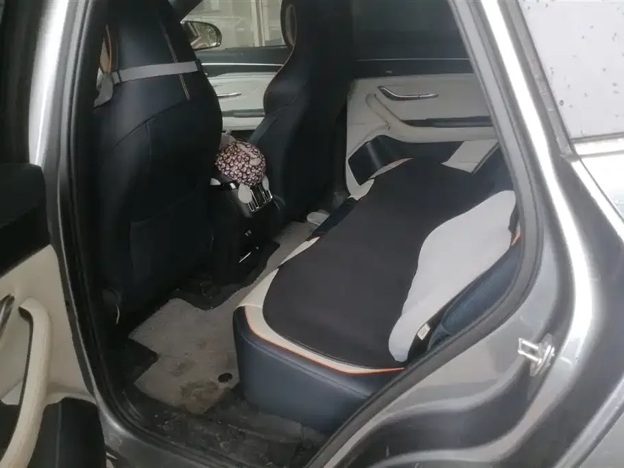 BYD PLUS New Energy 2021 из CN, фото 10