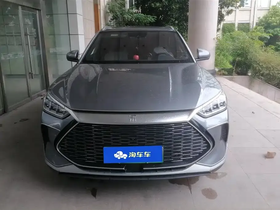 BYD PLUS New Energy 2021 из CN, фото 2