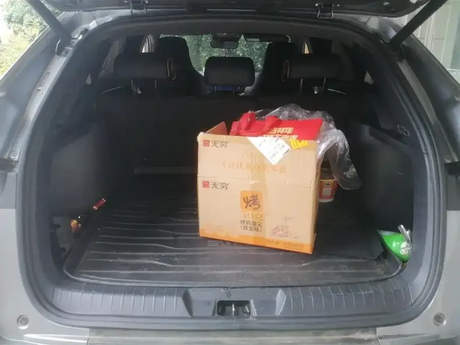 BYD PLUS New Energy 2021 из CN, фото 4