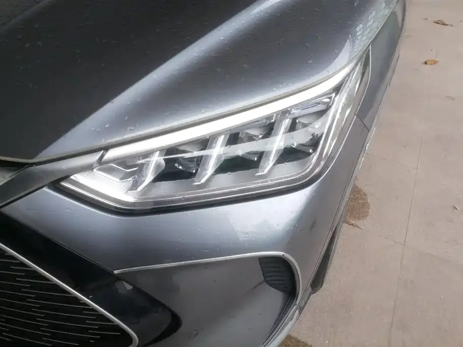 BYD PLUS New Energy 2021 из CN, фото 5