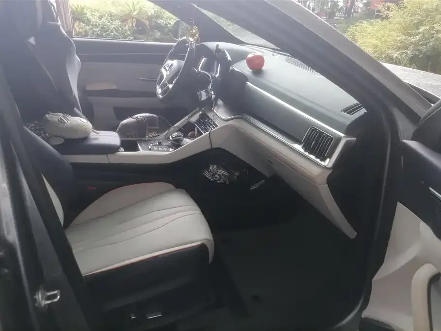 BYD PLUS New Energy 2021 из CN, фото 8