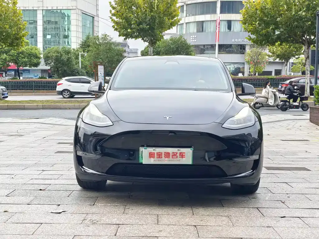 Tesla Model Y 2023 из CN, фото 2