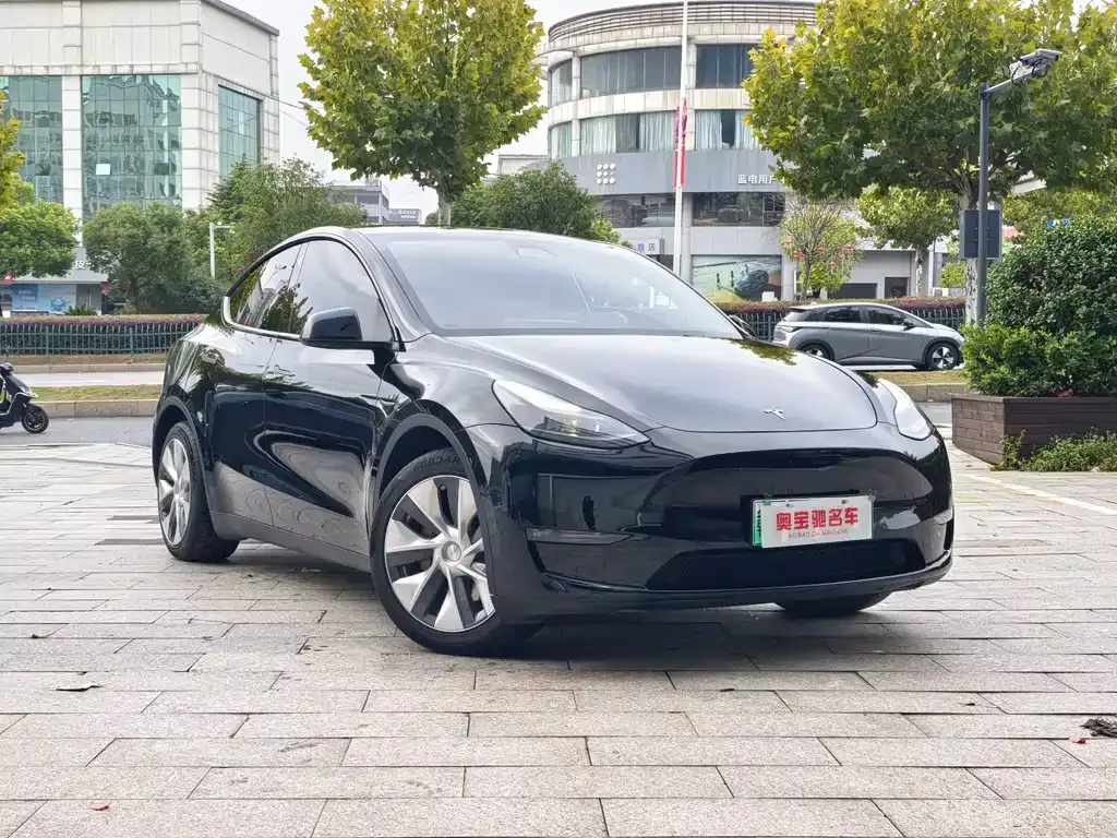 Tesla Model Y 2023 из CN, фото 3