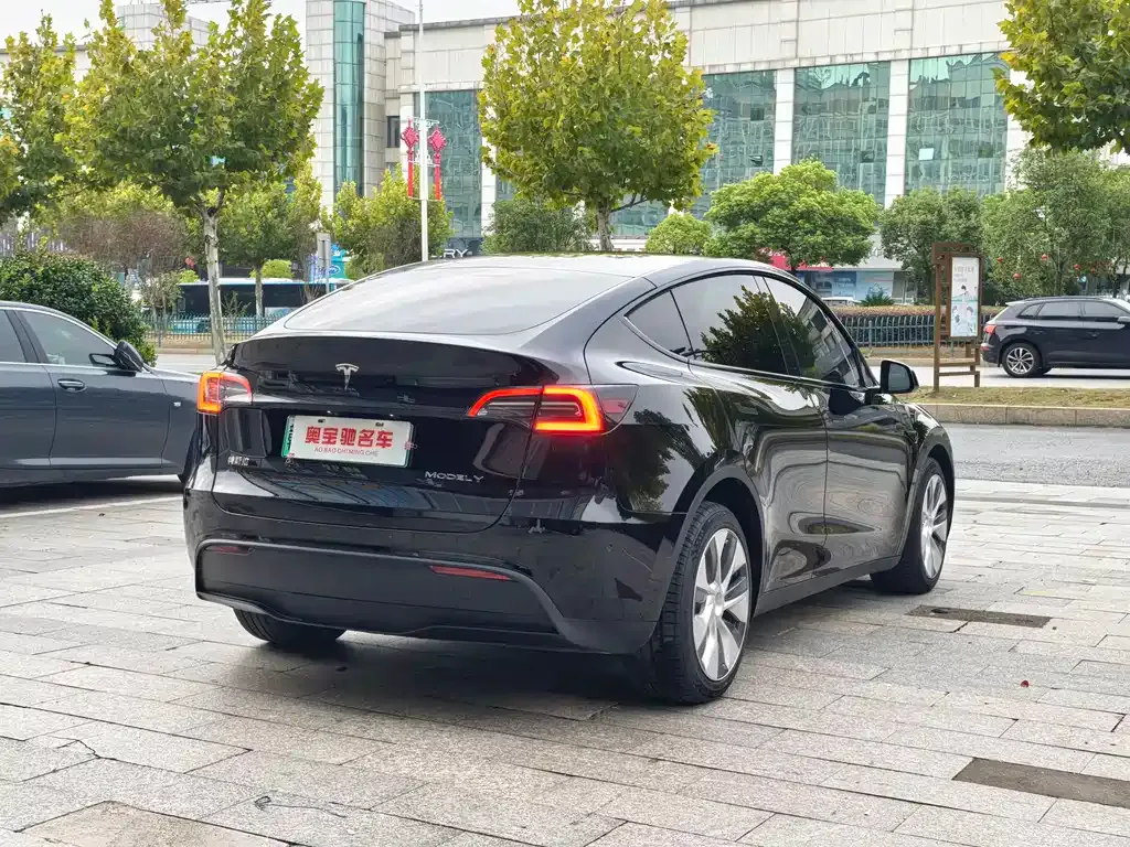 Tesla Model Y 2023 из CN, фото 4