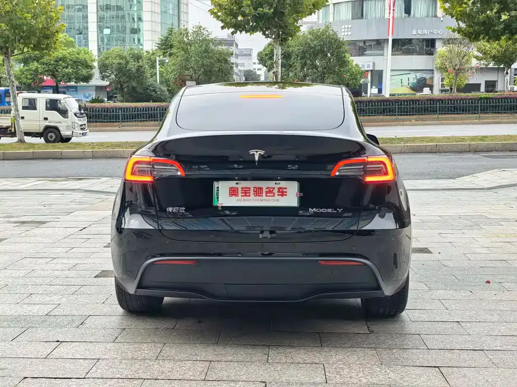Tesla Model Y 2023 из CN, фото 5