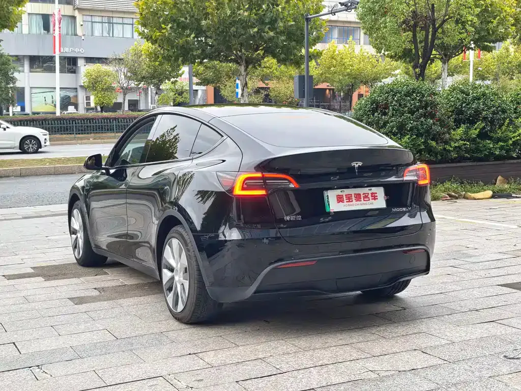 Tesla Model Y 2023 из CN, фото 6