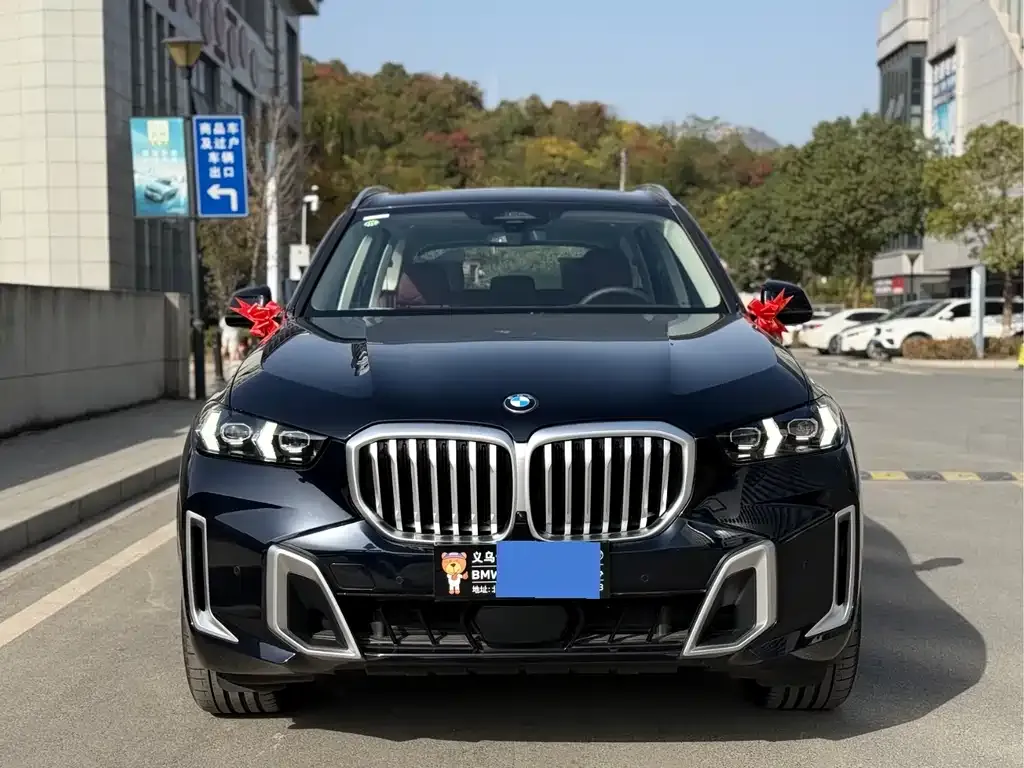 BMW X5 2025 из CN, фото 2