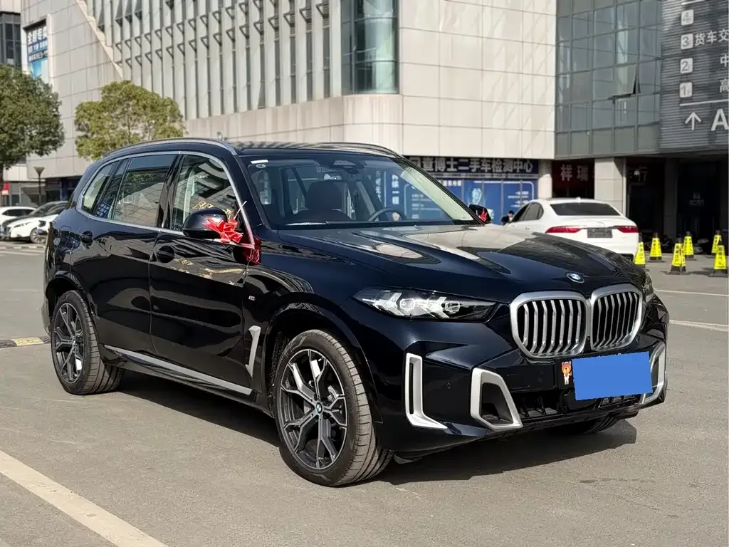 BMW X5 2025 из CN, фото 3