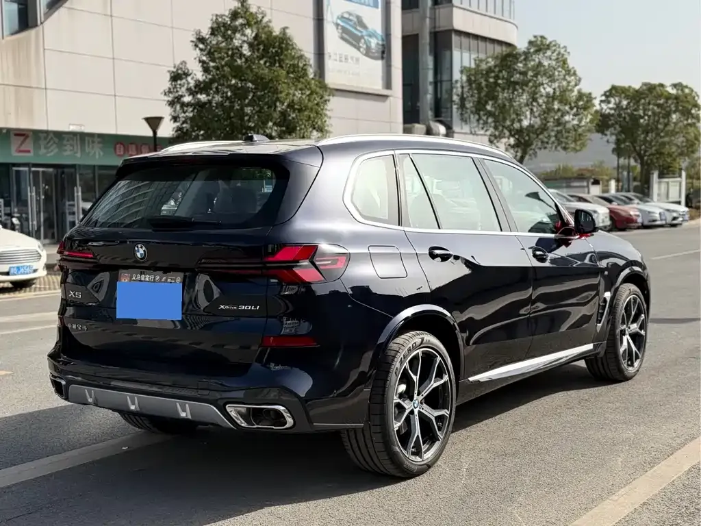 BMW X5 2025 из CN, фото 4
