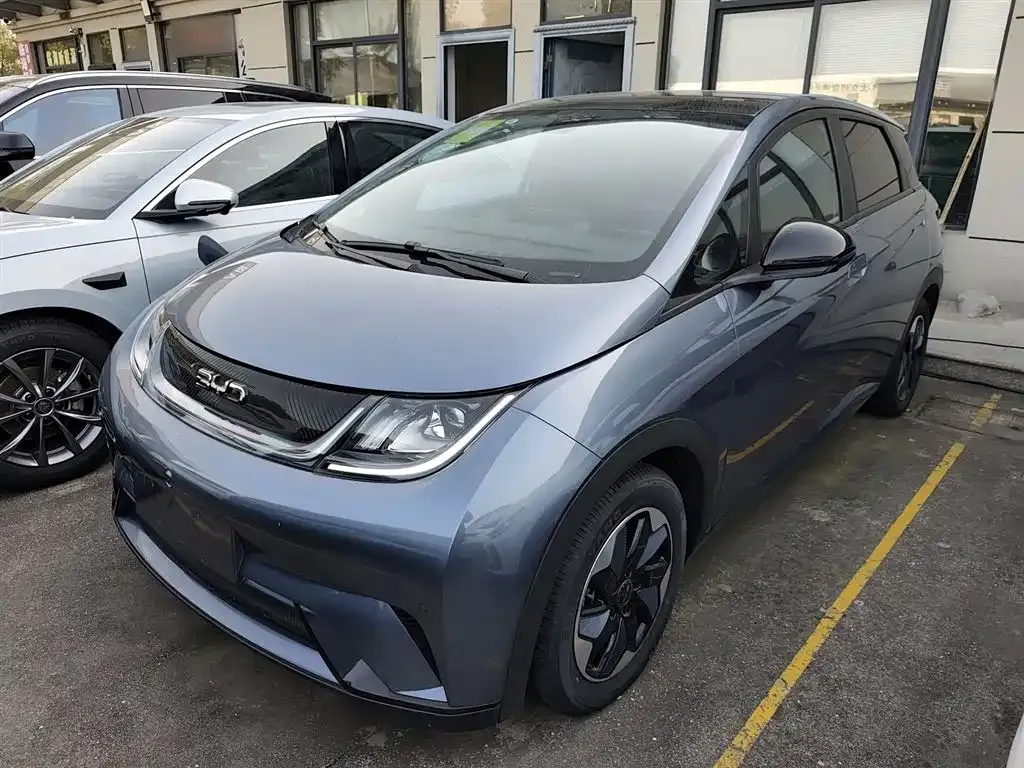 BYD Dolphin 2024 из CN, фото 1